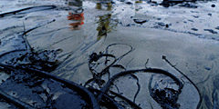 Oil-spill.jpg