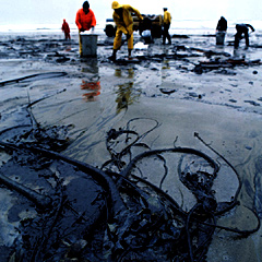 A beach after an oil spill.