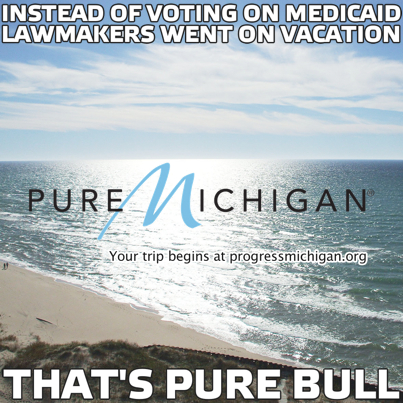 PureMichiganPureBullFBGA403