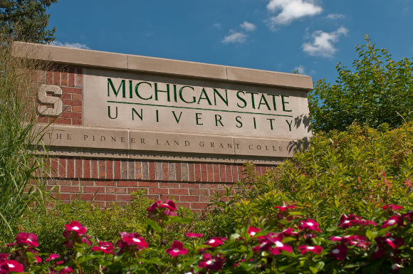MSU brick entrance sign on Kalamazoo Street.