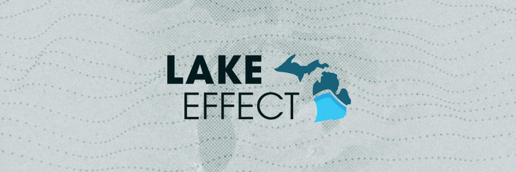 MICHIGAN - Progress Michigan’s most recent Lake Effect poll found that nearly two-thirds of Michigan voters overall oppose the Michigan House GOP budget and more than two-thirds support the Michigan Senate Democrat budget. Additionally, more than three-quarters of voters think it is important that a budget deal should be reached quickly.