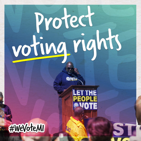 #WeVoteMI-FB_IG